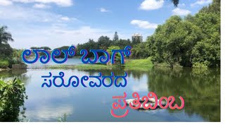 ಲಾಲ್‌ ಬಾಗ್‌ ಸರೋವರದ ಸೌಂದರ್ಯತೆ| Beauty of lalbagh lake |ALMA NEWS 24