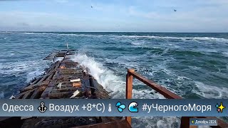 Одесса ⚓Воздух +8*С)🌡💦🌊 #уЧерногоМоря ✨ Декабрь 2024