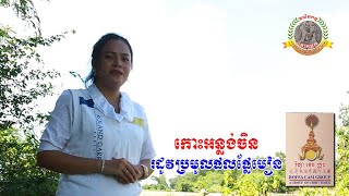 កោះអន្លង់ចិនរដូវប្រមូលផលផ្លែមៀន ( Kos Anlongchen Bromol Phal Mean )