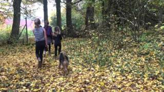 Herfstwandeling