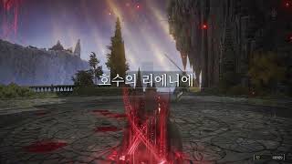 [엘든링 pvp] 지성신앙캐