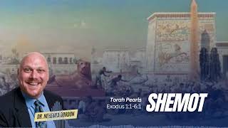 Torah Pearls #13 – Shemot (Exodus 1:1-6:1) - NehemiasWall.com