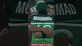 Naseem Shah is on fire!naseem shah Excellent bowling!#naseem shah bowled  #shorts #youtubeshorts