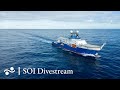 Dorado Outcrop | SOI Divestream 542