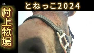 村上牧場さん とねっこ2024