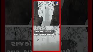 રાજકોટ: ગોંડલમાં ગાઢ ધુમ્મસ | Tv9GujaratiNews