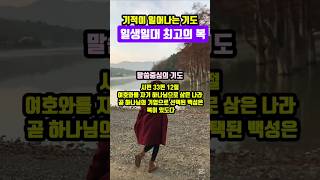 일생일대 최고의 복