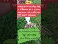 🫒🌿আপনার কোমরের হাঁড় ক্ষয় হয়ে গিয়েছে কোমরে ব্যাথা কোমরের ব্যাথায় ওঠা বসা করতে পারেন না।