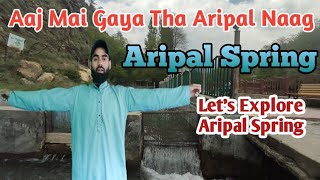 Aaj Mai Gaya Tha Aripal Naag | Explore Aripal Spring | Best Place District Pulwama | Aripal Naag