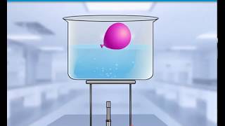 SSLC-Chemistry-Chapter2-Charles law-ചാൾസ് നിയമം