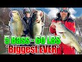 BIGGEST 5 Bass Limit EVER Caught on Film!! (60 POUNDS)