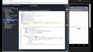 5.1 Pentester Lab 01 Android Application - Hardcoding Issue - Strings.xml file