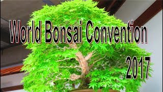 World Bonsai Convention 2017 （WBC) 世界盆栽大会\u0026Japan Bonsai Suiseki SHIHO-TEN 2017 日本の盆栽水石至宝展