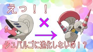 ポケモンUSUM　共同ミラクル交換会準備中（チョボマキ）