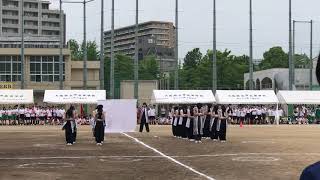 港高校 第七十二代応援団 白団 2019