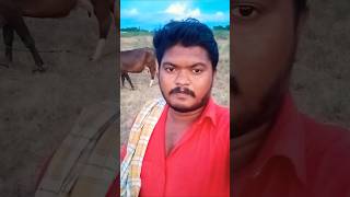 💥🐍🦍💯 உயிர் வாழ தன் சக்தி முடியாத போது இறைவனை நாடுகிறார்கள்#story#shorts #village #like #subscribe