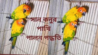 সান কনুর পাখি পালন পদ্ধতি | সান কনুর পাখির খাবার | Sun Conure Bird