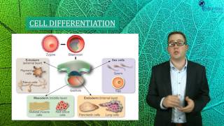 SACE2 Biology Essentials Concept Video - Gene Expression