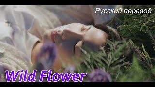 ПОЛЕВОЙ ЦВЕТОК ... Wild Flower  들꽃놀이 ...  НАМДЖУН   RM ... БТС  ( Юж.Корея) ...  ПЕРЕВОД