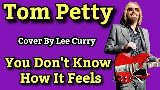 You Don't Know How It Feels - Tom Petty (cover by Lee Curry)