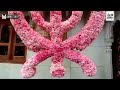 amritsar golden temple decorated with flowers on the eve of parkash utsav of guru granth sahib