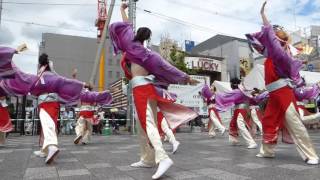 花柳　2016バサラ祭り　JR奈良駅会場