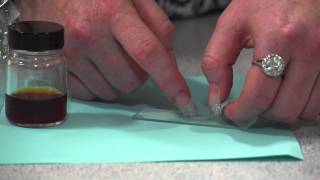 How to prepare an onion cell microscope slide