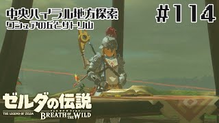 30年前の知識だけで挑むゼルダの伝説BotW #114【ゼルダの伝説ブレスオブザワイルド】