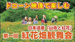 日本遺産「山寺と紅花」 第１回 紅花畑観舞会　＜ドローン映像特別編＞　2022.7.16  山形県山形市山寺