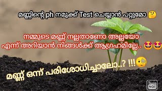 How To Determine Your Soil Acidic Or Alkaline/  Diy soil Ph Test @ Home/വീട്ടിലെ മണ്ണ് പരിശോധന#soil