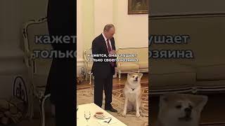 Собачка Путина🥺 #путин #shorts