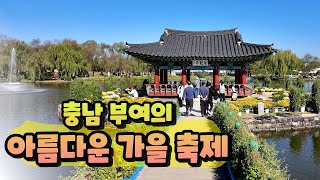 충남 부여의 아름다운 가을 축제