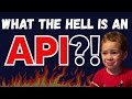 What Is an API? (FOR BEGINNERS)
