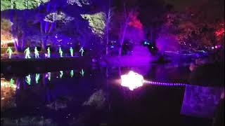 LUMINATE - First Light festival in Hasselt #japanesegarden #hasselt #luminate(5)