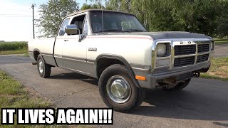 Old DODGE Cummins Truck LIVES AGAIN after Years of Sitting!!!