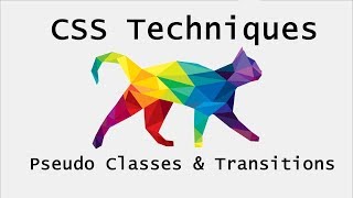 CSS Interactivity | Electro Cat Studios
