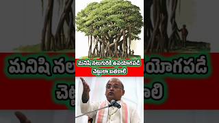 గరికపాటి గారు చెప్పిన జీవిత సత్యాలు | మనిషి నలుగురికి ఉపయోగపడే చెట్టులా బతకాలి | #garikapati #shorts