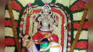 Sri Maha Kaala bhairavar temple sembakkam