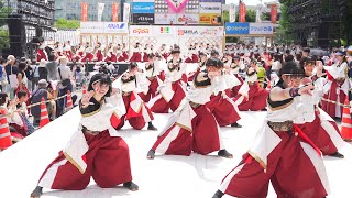 [4K]  早稲田大学“踊り侍”  高知よさこい祭り 2024  土佐学生よさこい大会