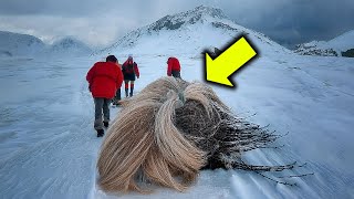 Tourists Uncover a Chilling Secret in Alaska – Police Say It Was Never Meant to Be Found