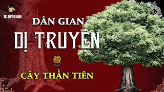 FOLK LEGEND | STORY 19 - THE FAIRY TREE | MC Nguyen Thanh | very good ghost story