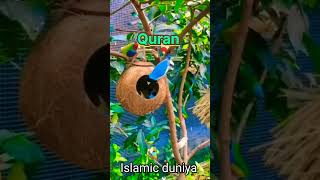Surah Al Imran ayat 40-43 #translationquran #quran #short #alquran #qurantranslation #yt #viralvideo
