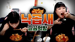 낙곱새 깔끔하게 한끼 클리어하는 먹방 (낙지,곱창,새우)mukbang eating show[맨만숙유튜브]