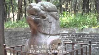 중국-태산여행-8 곡부-공림