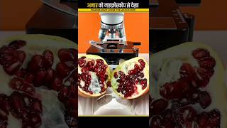 अनार को माइक्रोस्कोप से देखा 😳||Pomegranate Under The Microscope|| #shorts #viral #microscope