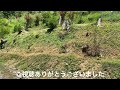 田舎暮らしの日常　1番の草刈りの難所やっつけました　飛騨の山奥での生活