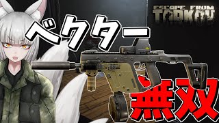 【EFT 闇堕ち#1】ベクターの弾幕ゴリ押しでInterChangeを制す【VOICEROID実況】