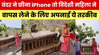 MONKEY VIRAL VIDEO : बंदर ने छीना iPhone तो विदेशी महिला ने किया ये काम,जो हुआ वो देखकर हंस दिए लोग!