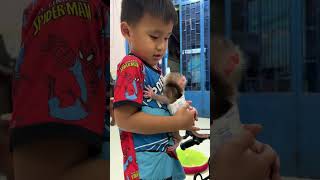 Lovely Baby Monkey Titas Very Cute In Home #monkey