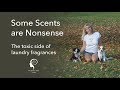 Some Scents Are Nonsense